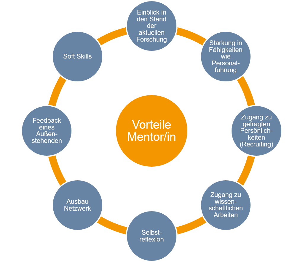 Vorteile Mentor