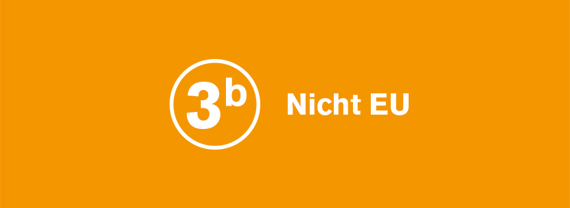 Schritt 3b: Nicht EU