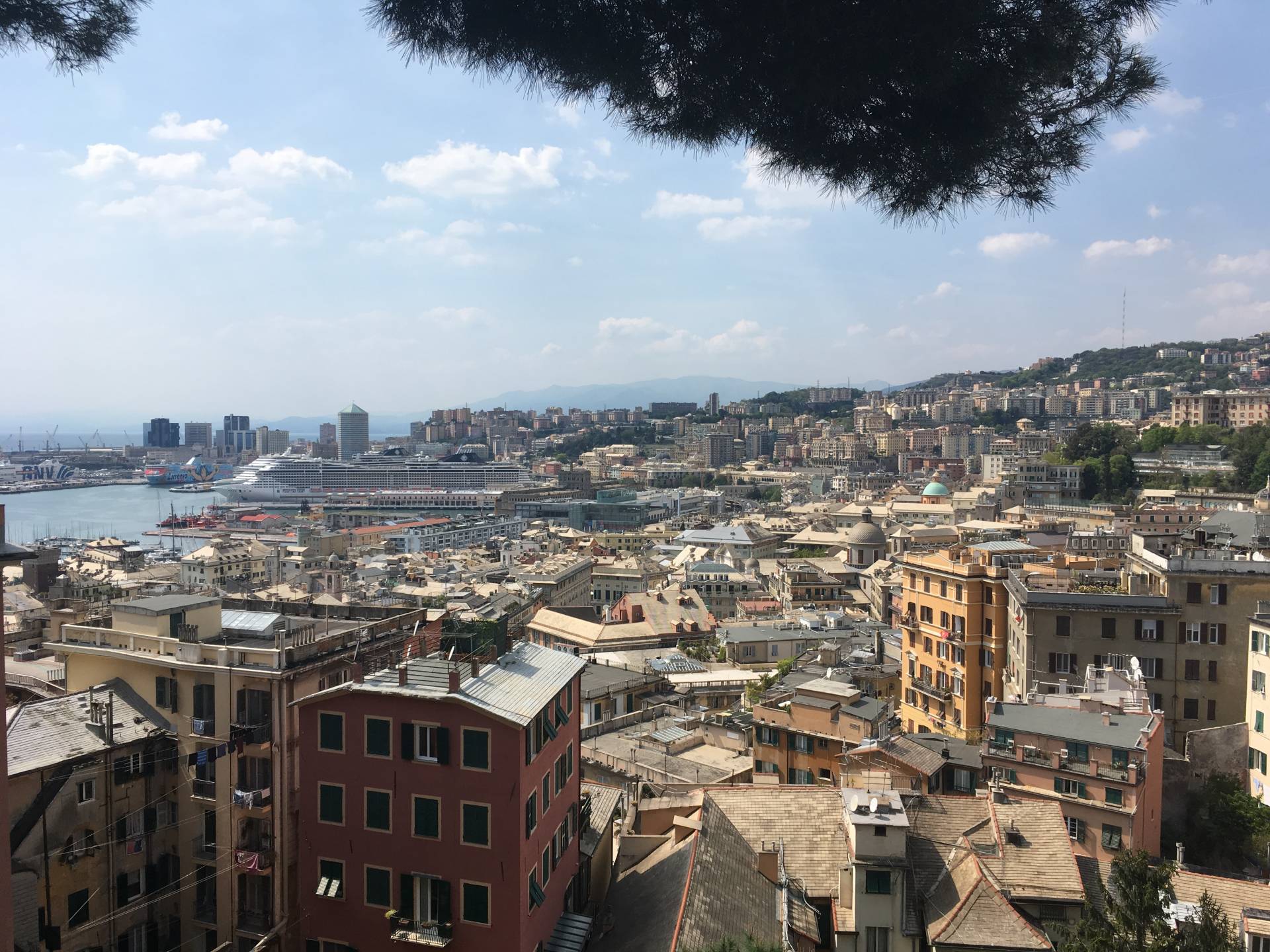 Genova