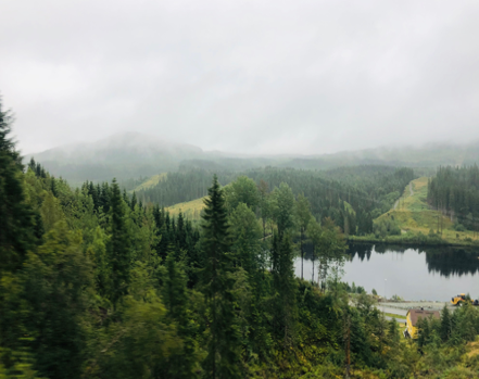 Natur in Norwegen