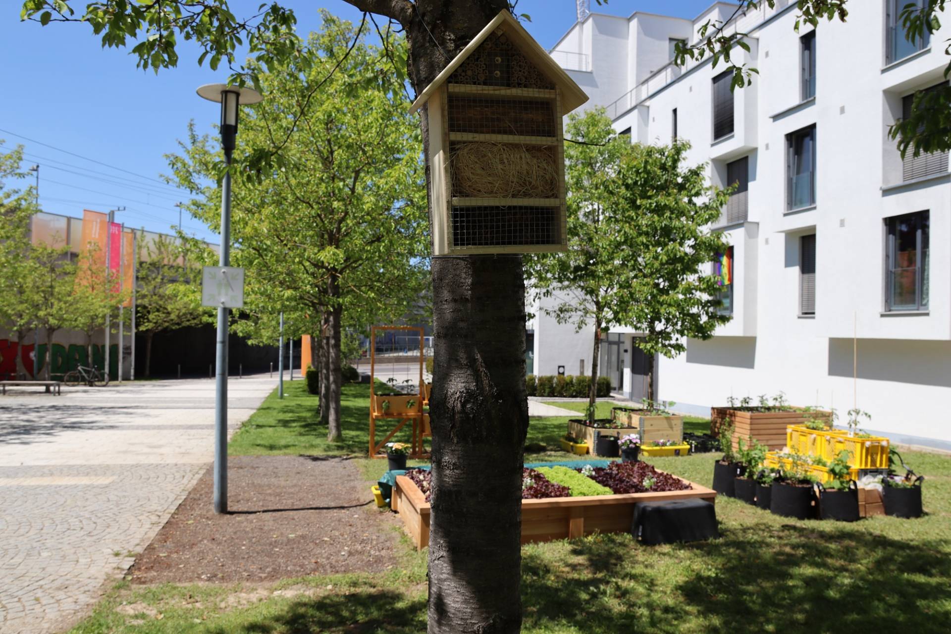 Aufbauarbeiten Urban Gardening