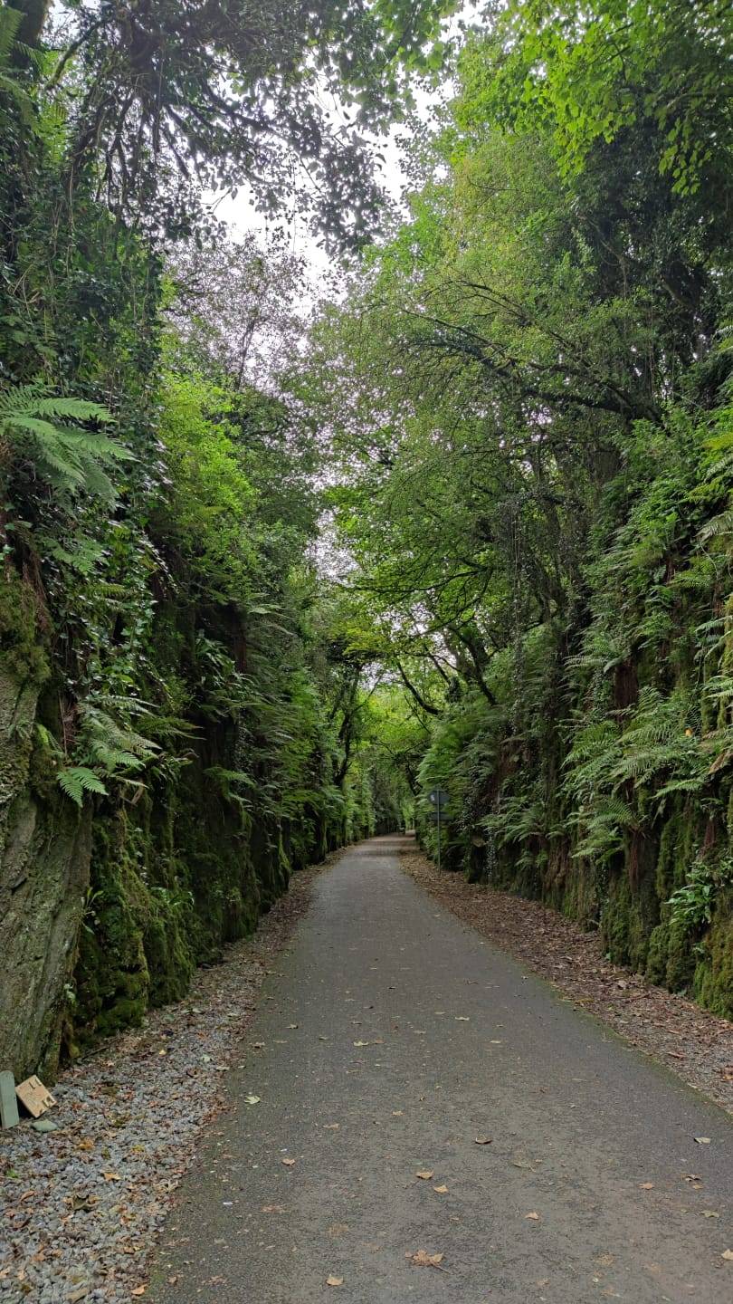 Greenway Waterford