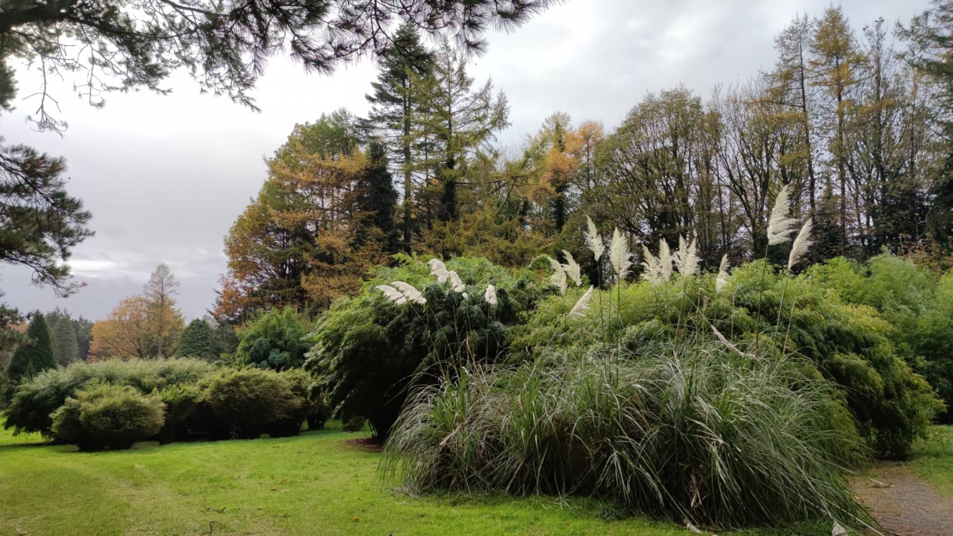 JFK Memorial Park & Arboretum 