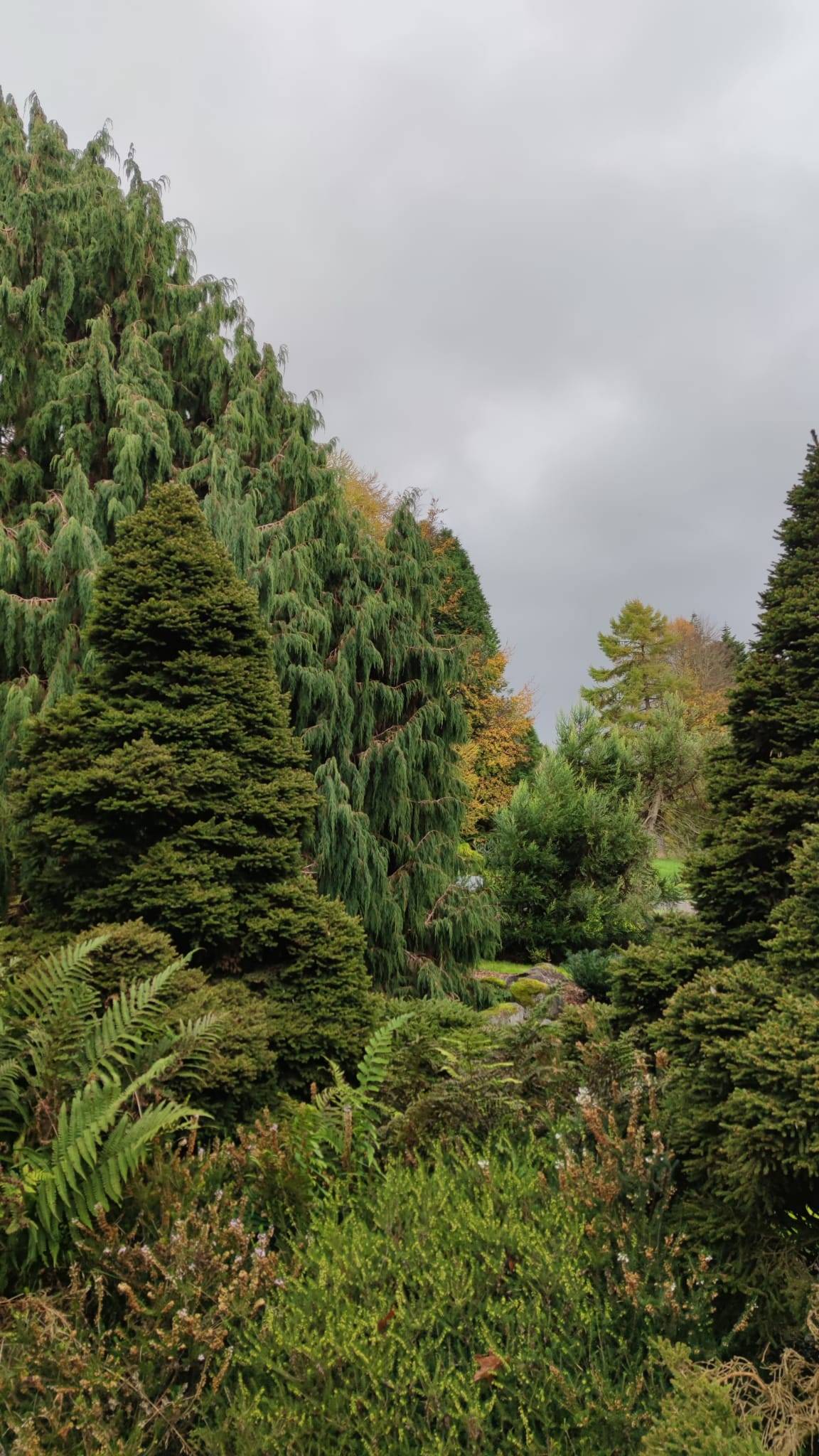 JFK Memorial Park & Arboretum