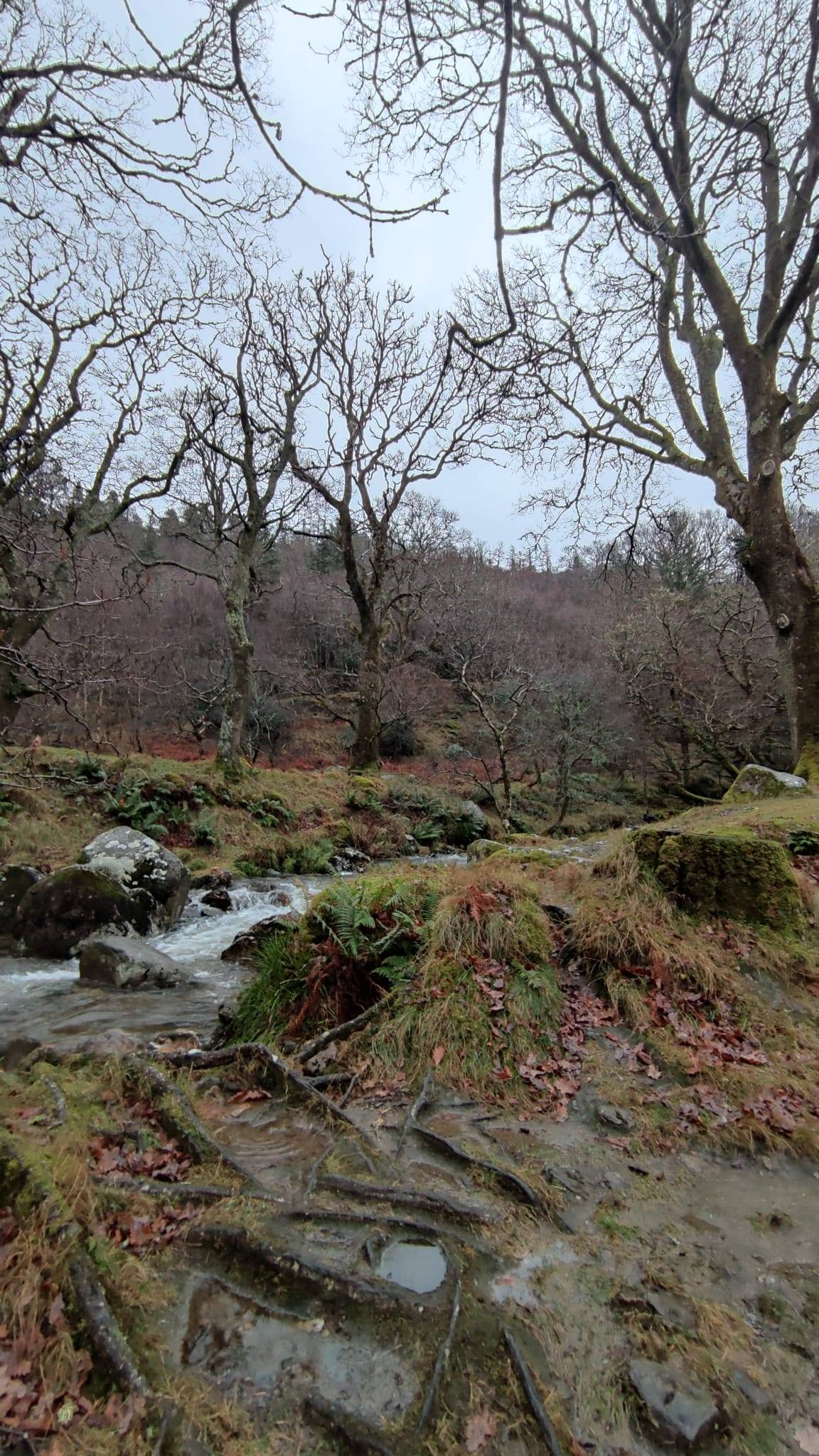  Glendalough Lakes