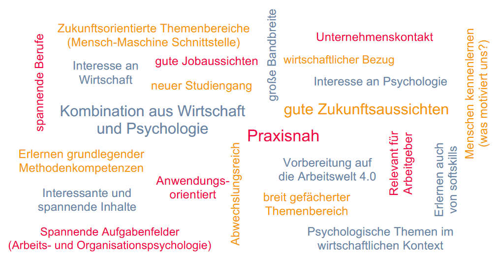 Wordcloud Erwartungen an das Studium Wirtschaftspsychologie