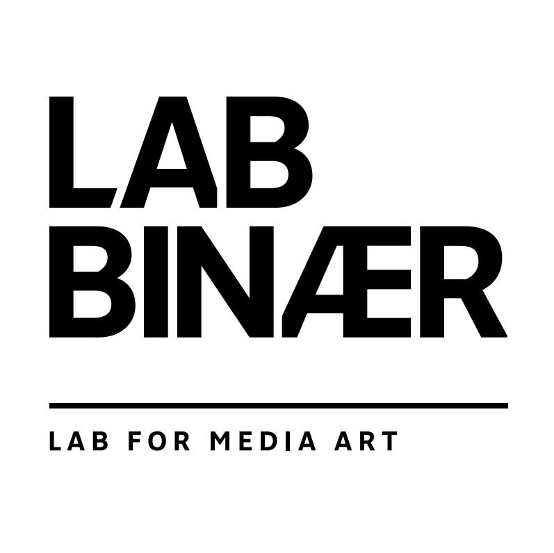 LAB BINÆR