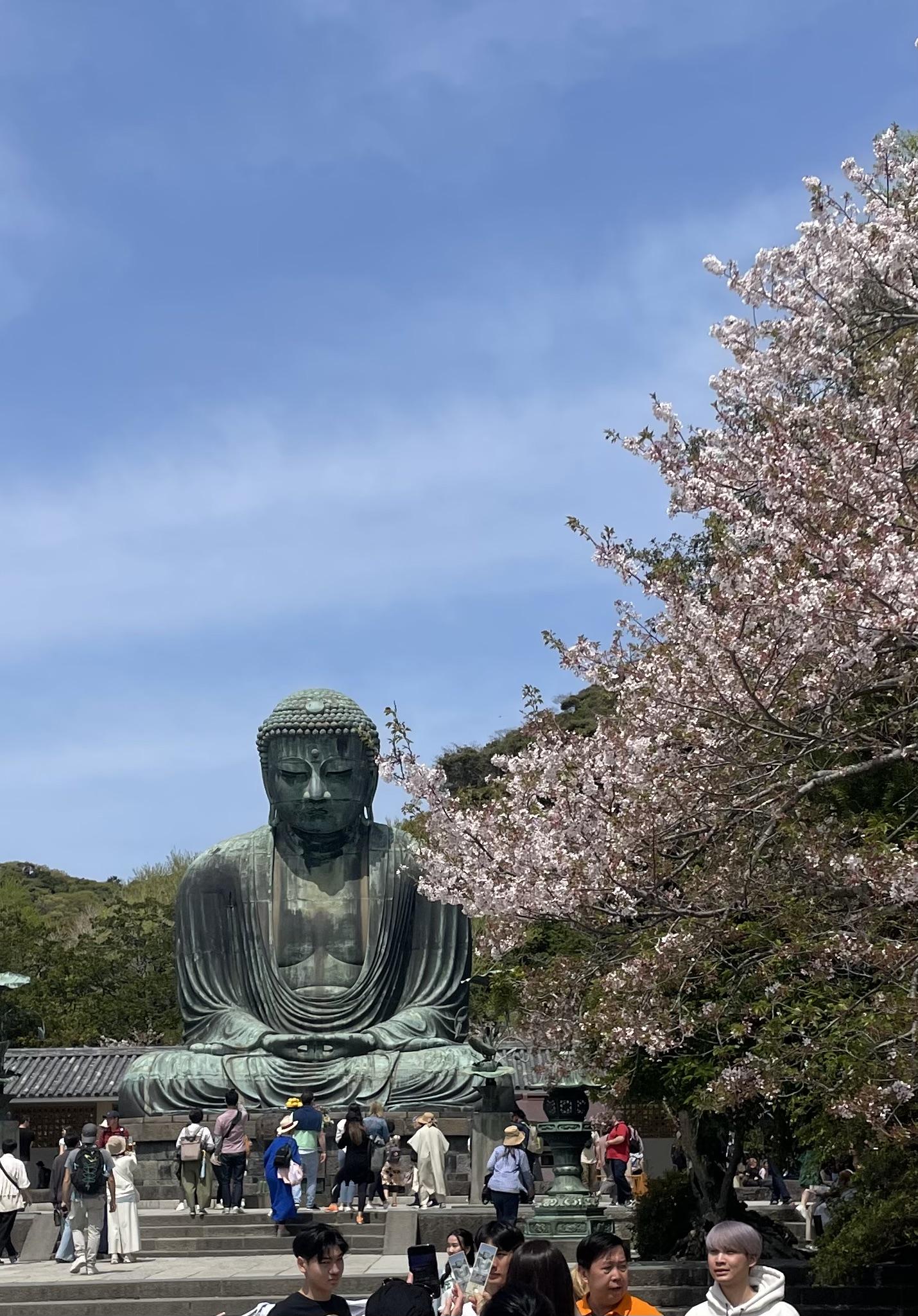 Buddha Statue in Kamakura