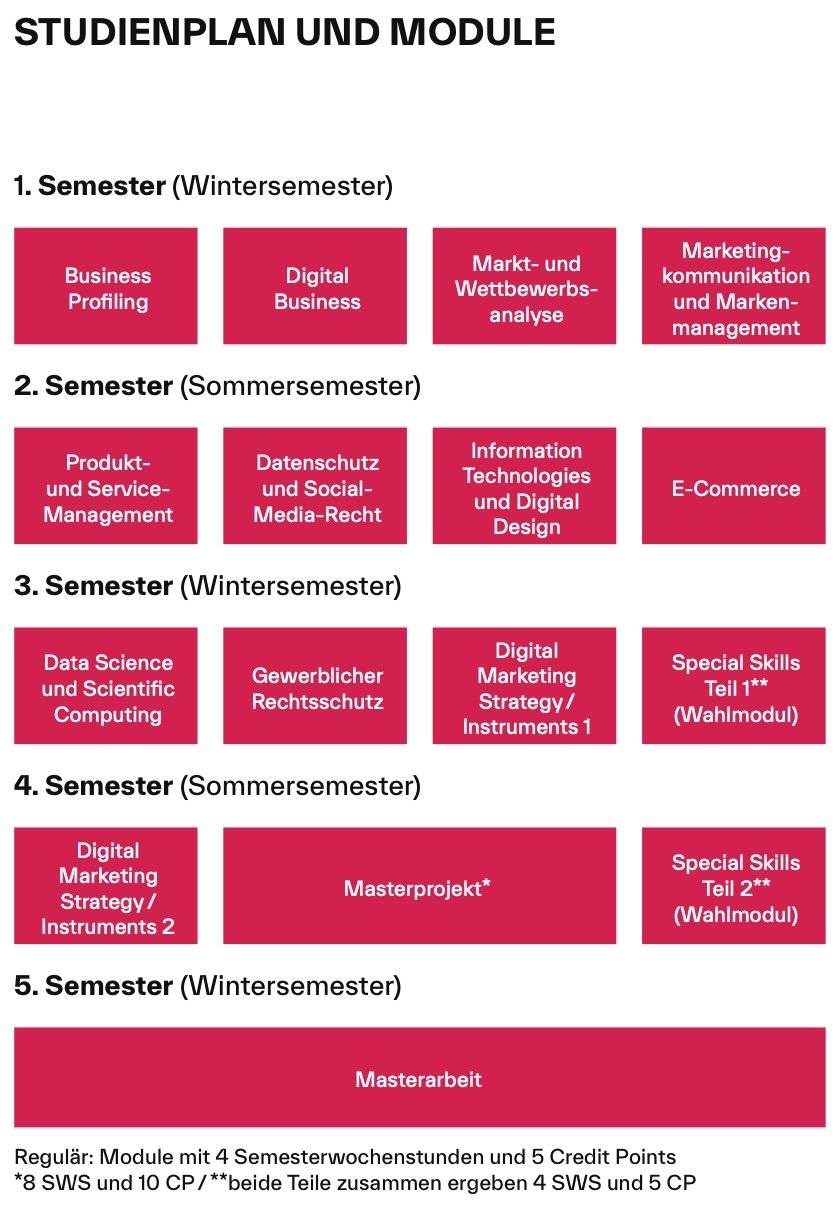 MMD Studienplan