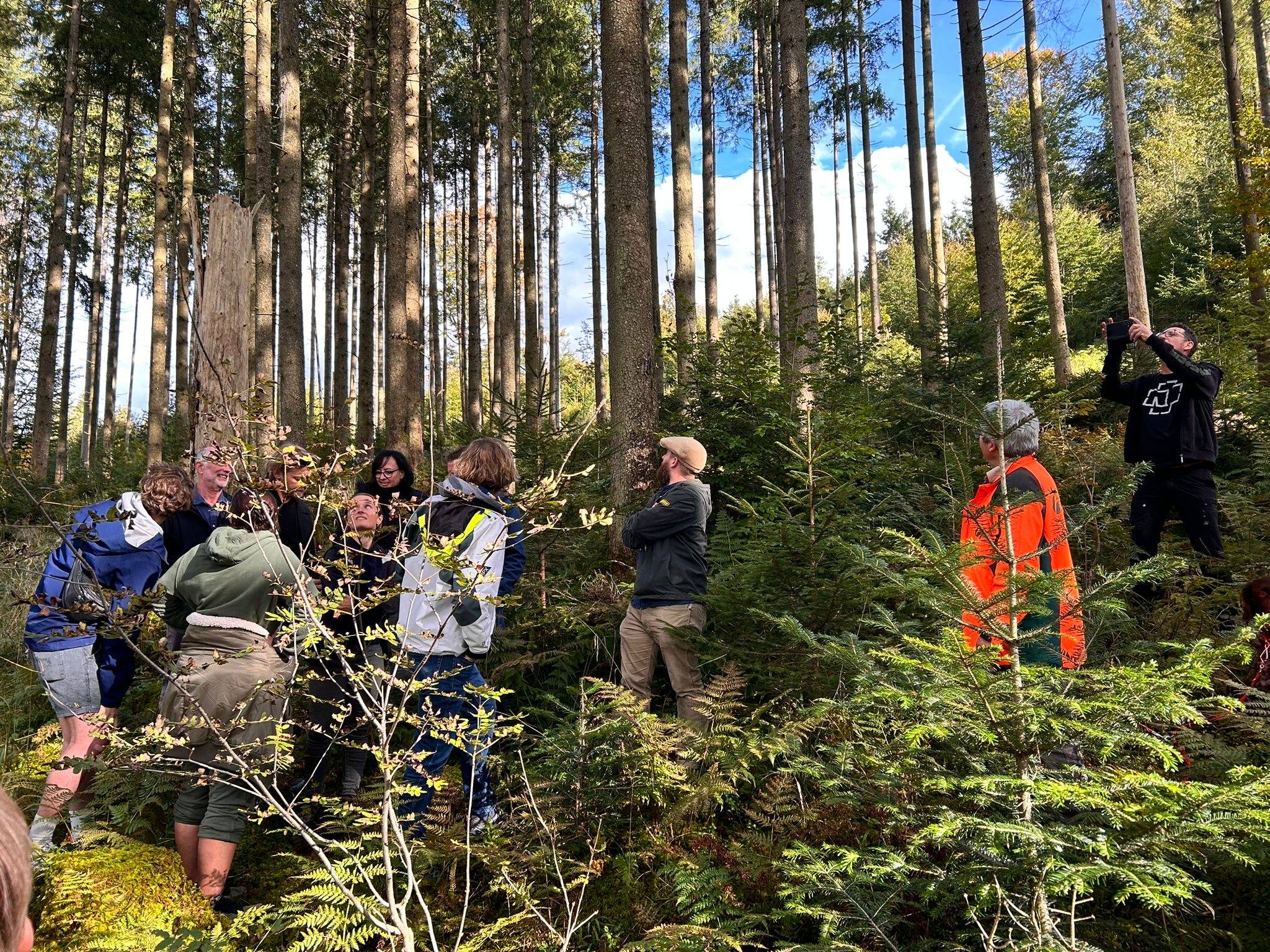 FIH24_Im Wald Landen