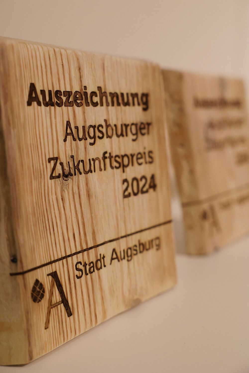 Plakette aus Holz "Augsburger Zukunftspreis 2024"