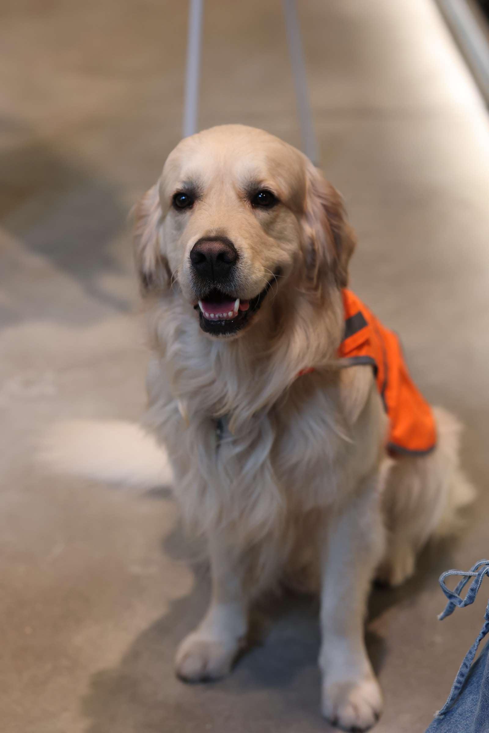 Hochschulhund Oskar sorgt für extra Happiness bei den Studis