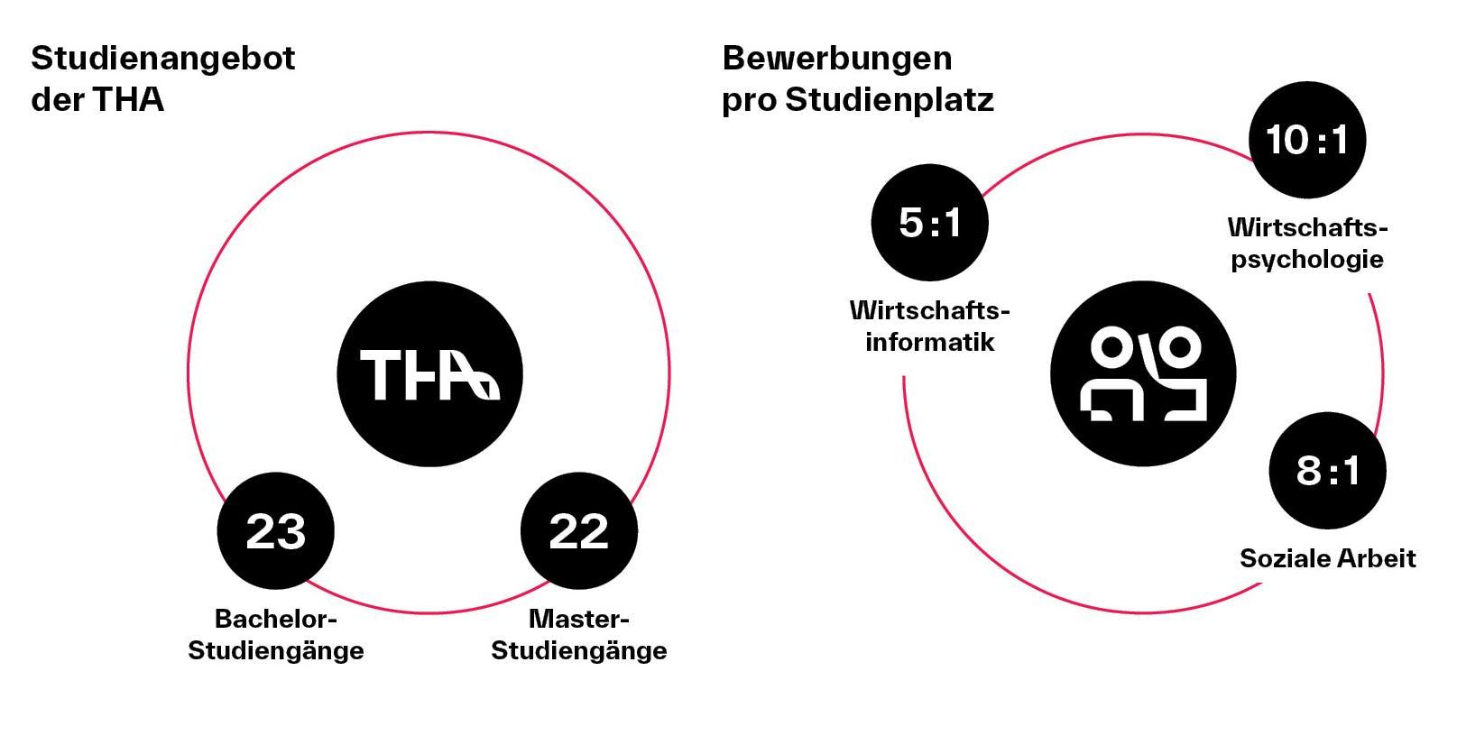 THA Studienangebot und Bewerbungen pro Studienplatz