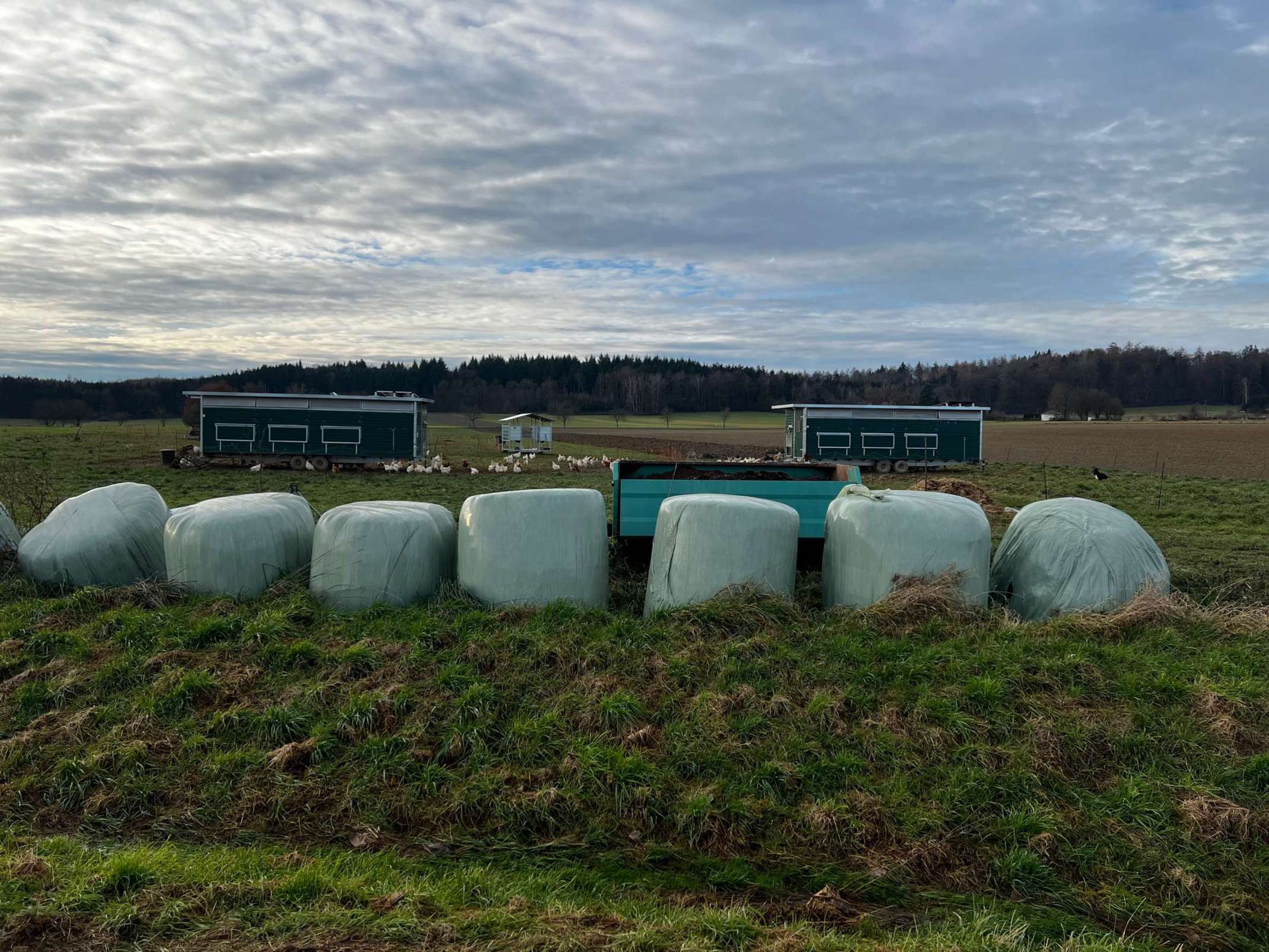 Nachhaltige Unternehmensführung aus Sicht der Landwirtschaft: Besuch Biobauernhof Alte Schäferei