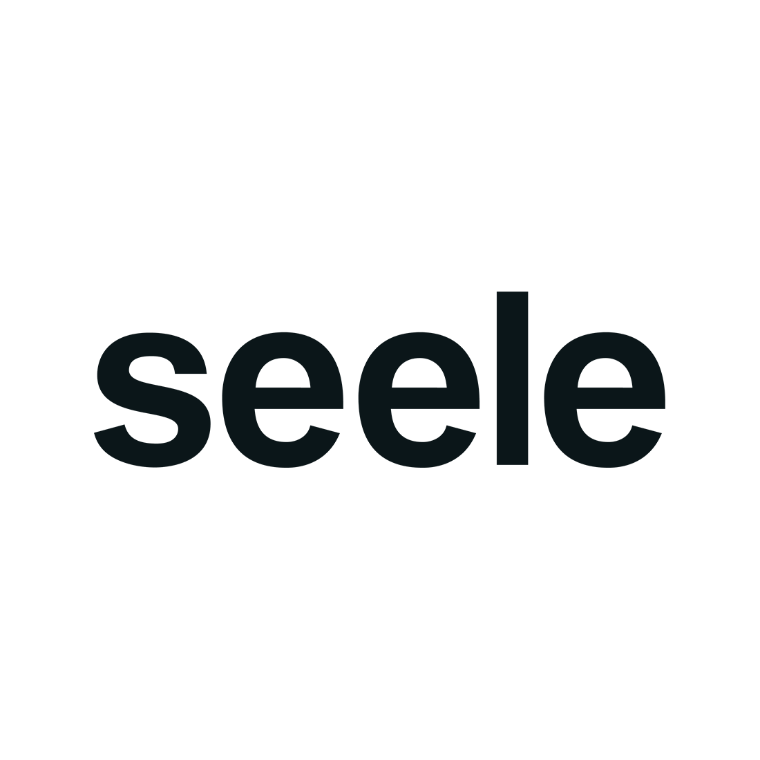 Logo Seele