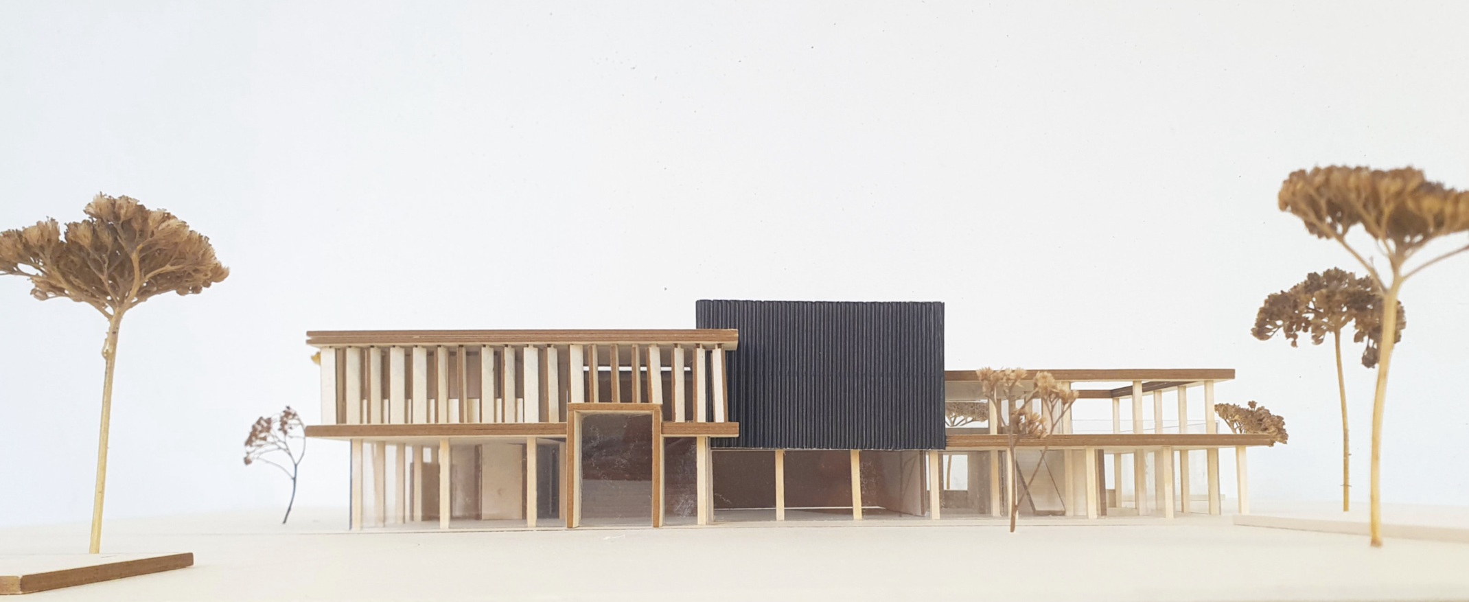 Tokan Bürger und Jan Schmitz Tokan Bürger und Jan Schmitz