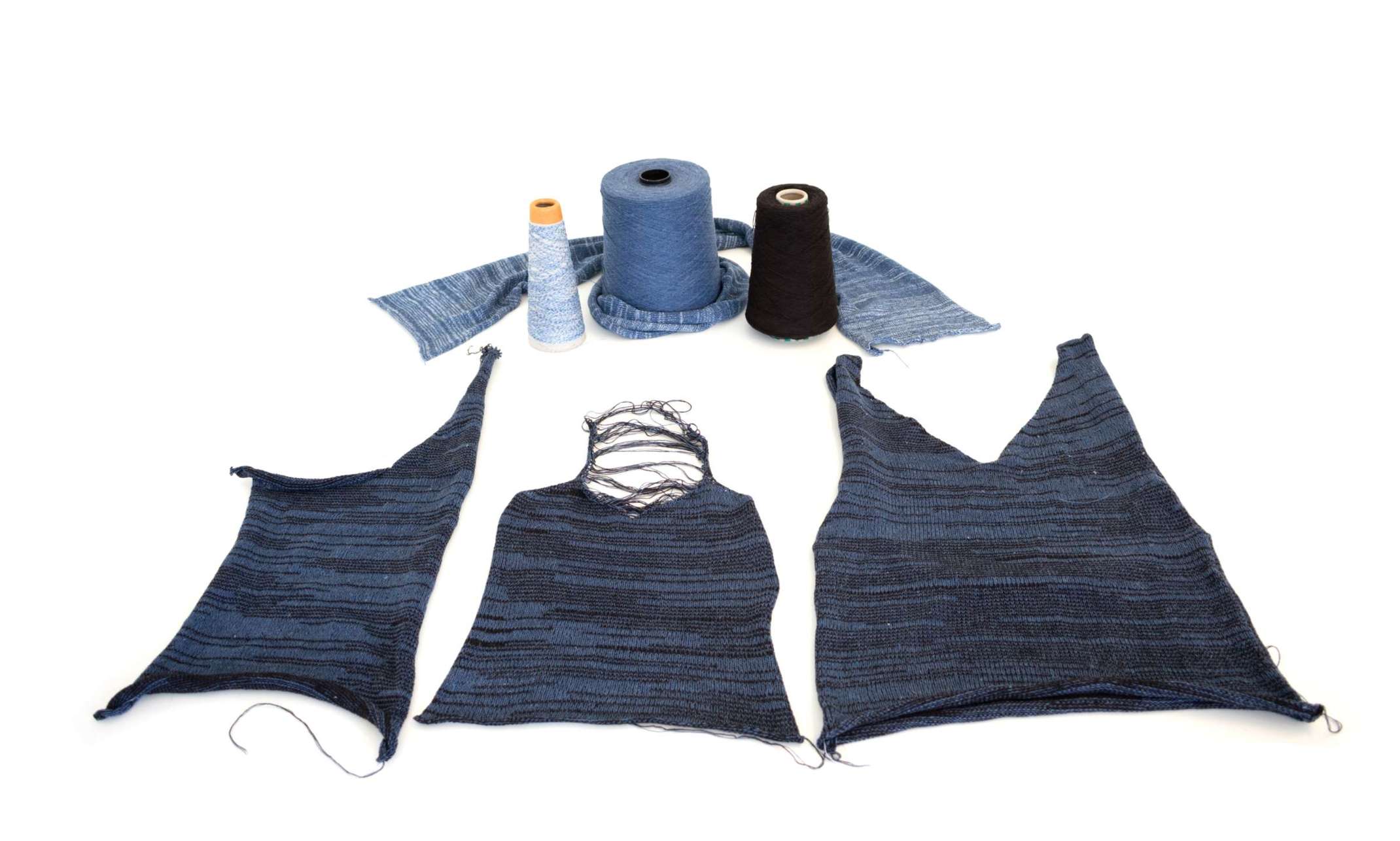 Lovebugs and Recycling Lovebugs and Recycling