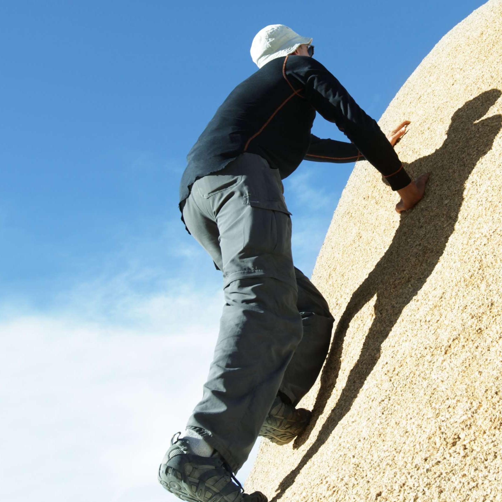 Link zum Info-Event Link zum Info-Event