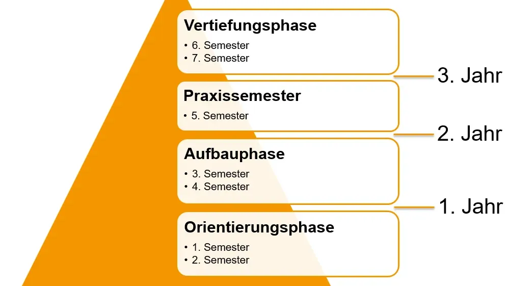 Schema des Aufbaus eines Bachelorstudiums.