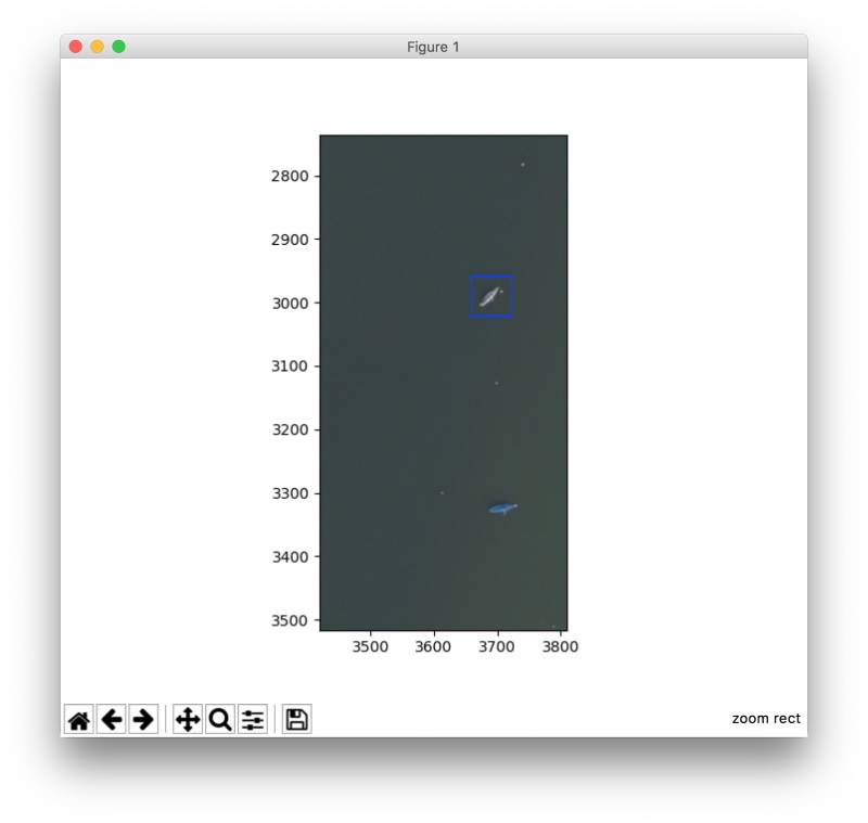 bilderkennung-beispiel-detail.jpg bilderkennung-beispiel-detail.jpg