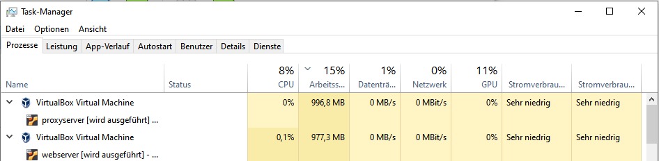 ../_images/VBox-taskmgr.jpeg