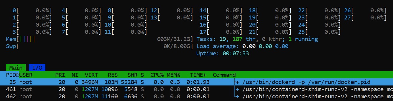 ../_images/docker-htop.jpeg