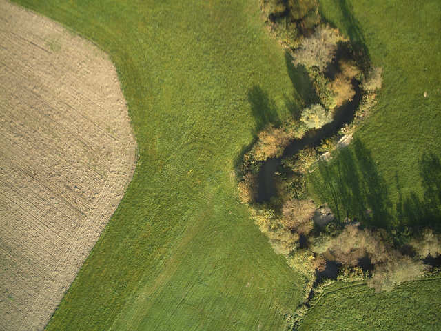 grainfield, meadow, and river