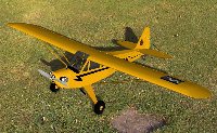 Goldberg Piper Cub (W3 Group)