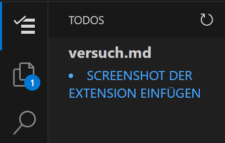TODO Extension