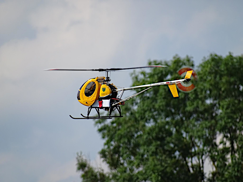 In flight in the summer