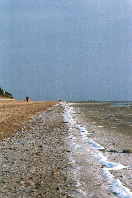 Island F&ouml;hr, North Sea (Wadden Sea)