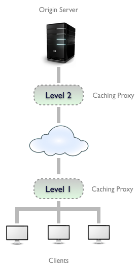 _images/http2-cache-topo.png